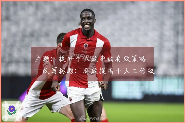 主题：提升个人效率的有效策略  --改写标题：有效提高个人工作效率的方法