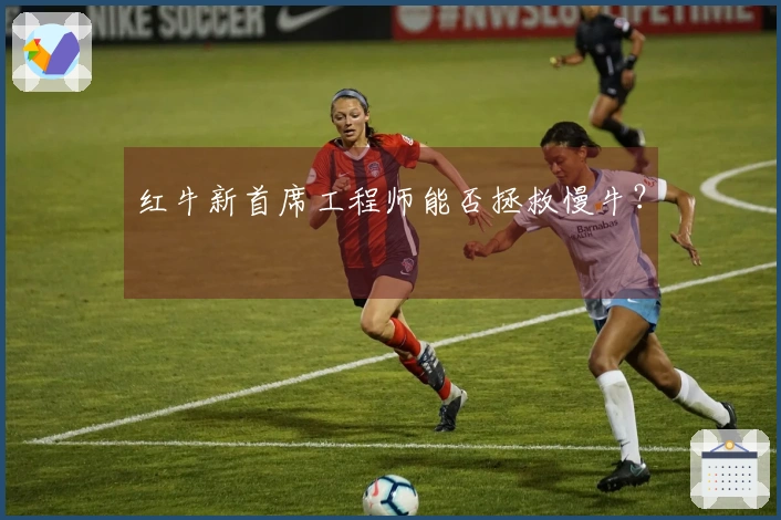 红牛新首席工程师能否拯救慢牛？